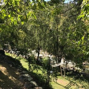 Meet your Posher, Shelby